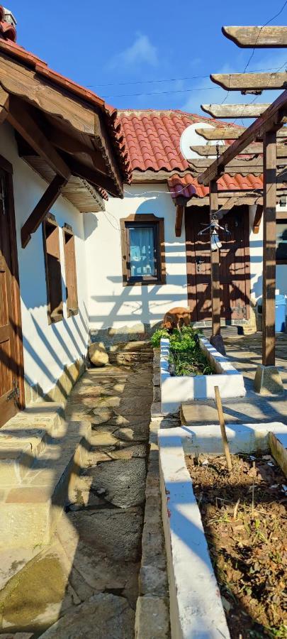 Namaste Къща В Село Камилски Дол Kamilski Dol 外观 照片